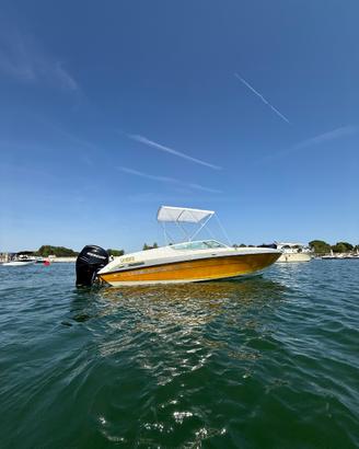 Barca motoscafo four winns liberator 201
