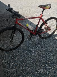 bicicletta mountain bike colnago anni80 da corsa a
