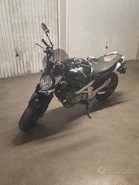 Suzuki SFV Gladius 650 - 2009