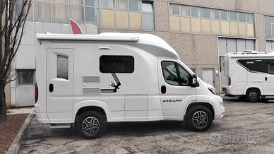 Wingamm OASI 540.1 CALALUNA