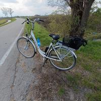 Bicicletta elettrica Carver 