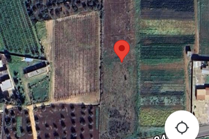 Terreno agricolo di mq 12000