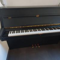Pianoforte Rippen Holland