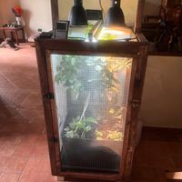 Camaleontario terrario completo