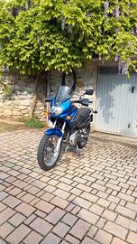 Suzuki Freewind 650 ASI 