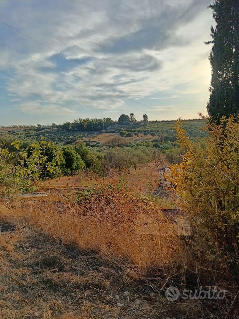 Terreno Agricolo Crispiano [Cod. rif 3386097VCG] - Vista 3