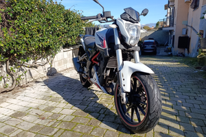 Benelli BN 251