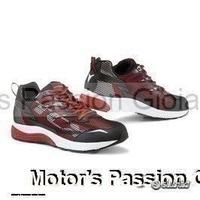 TCX Scarpe PADDOCK - 42 - 44
