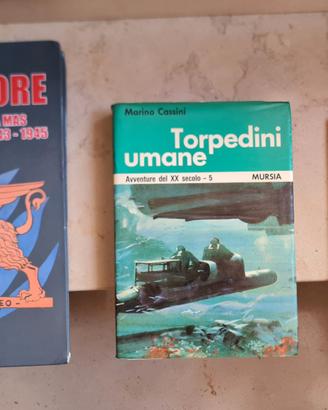 Libri sulla guerra e collezionismo
