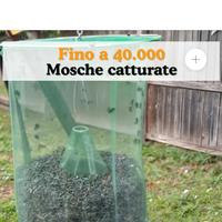 acchiappa mosche 