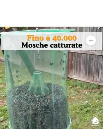 acchiappa mosche 