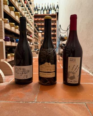 Lotto vini - Ganevat (5 anni élevage)