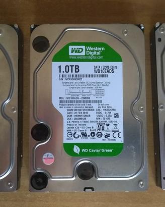 Hard Disk 3.5" SATA - 1000/500/200/80GB