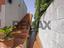 Immagine 14