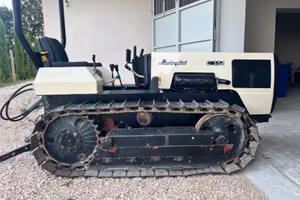 Cingolo Lamborghini C 554 Ergomatic