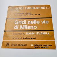 Disco vinile nanni svampa