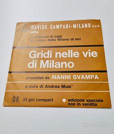 Disco vinile nanni svampa