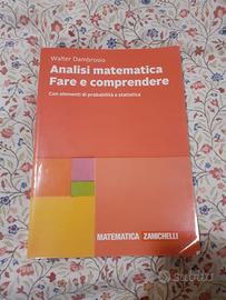 Libro ' Analisi matematica Fare e comprendere ' 