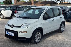 FIAT Panda Hybrid Citylife 1.0cc 70cv