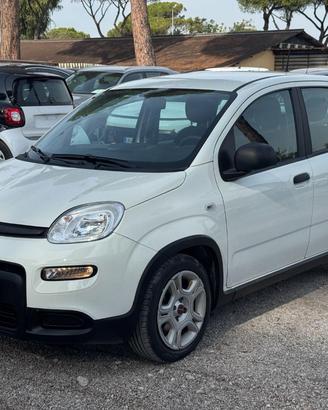 FIAT Panda Hybrid Citylife 1.0cc 70cv
