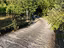 Immagine 7