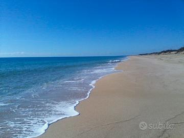 Salento ultimi giorni
