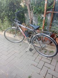 Bicicletta da uomo
