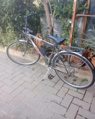 Bicicletta da uomo