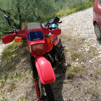 Suzuki dr 600