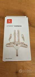 Cinture Stokke