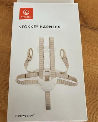 Cinture Stokke