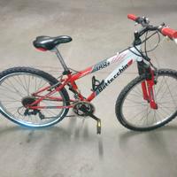 bicicletta bottecchia 488 ruote 24