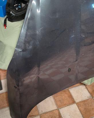 Cofano Ford Fiesta 