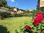 Immagine 11