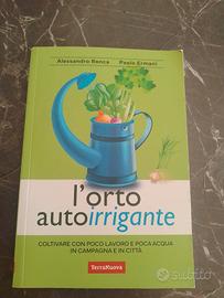 l orto auto intrigante 