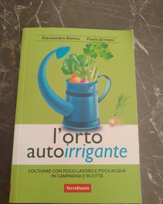 l orto auto intrigante 