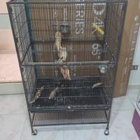 Voliera per pappagalli