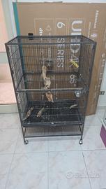 Voliera per pappagalli