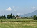 ter-residenziale-a-spello
