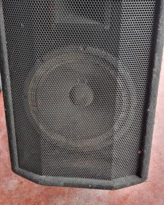 coppia di casse peecker sound