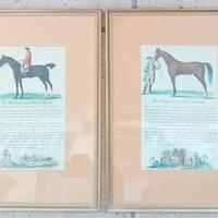 Lotto di 4 stampe "cavalli da corsa inglesi"