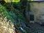 Immagine 12