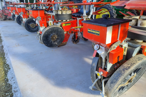 Trapiantatrice Checchi e Magli