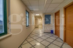 Ufficio Fonte Nuova [Cod. rif 3288912ACU]