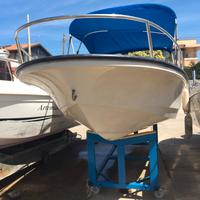 Boston whaler 15