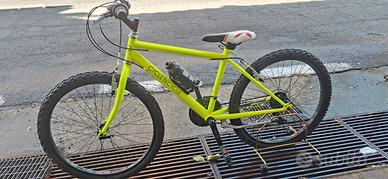 Mountain bike 24