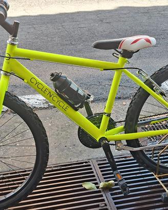 Mountain bike 24