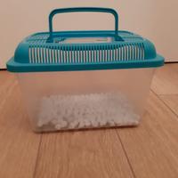 Vaschetta per pesciolini