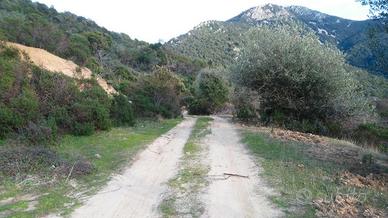 Terreno Solanas Castiadas