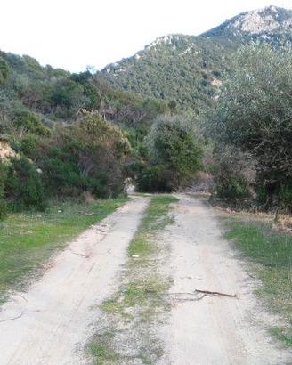 Terreno Solanas Castiadas